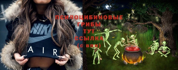PSILOCYBIN Арсеньев