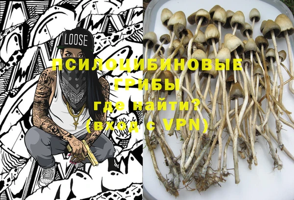 PSILOCYBIN Арсеньев