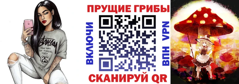 гидра   Куйбышев  Галлюциногенные грибы Psilocybine cubensis 
